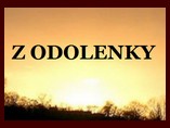 Český teriér Z Odolenky
