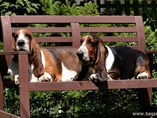 L�to 2012 / Summer 2012