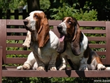 L�to 2012 / Summer 2012