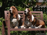 L�to 2012 / Summer 2012