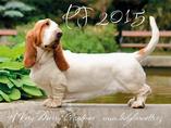 PF 2015