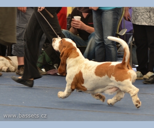 Otev�r�m obr�zek