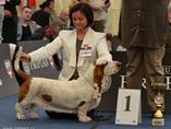 Sv�tov� v�stava ps� Salzburg / World Dog Show Salzburg