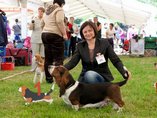 Sv�tov� v�stava ps� Salzburg / World Dog Show Salzburg