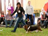 Sv�tov� v�stava ps� Salzburg / World Dog Show Salzburg