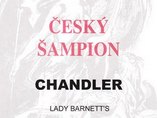 Chandler Lady Barnett's je Český šampion