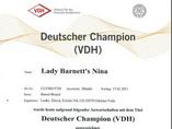 German VDH champion