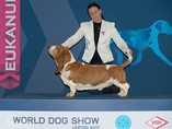 World Dog Show Leipzig (DE)