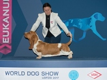 World Dog Show Leipzig (DE)