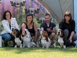 Special hound show Tábor