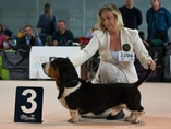 World dog show Brno 2021