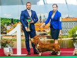 Trio CACIB Prague Expo Dog