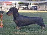 CACIB Litom��ice