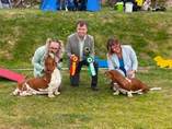 Swedish Basset Club south