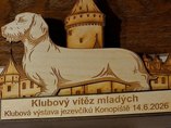 Dachshund Club show Konopi�t�
