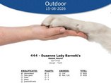 Flanders Dog Expo