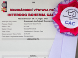 IDS Mlad� Boleslav