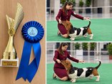 Klubov� v�stava KCHH