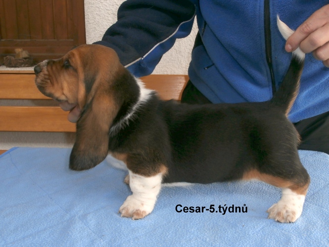 Otev�r�m obr�zek