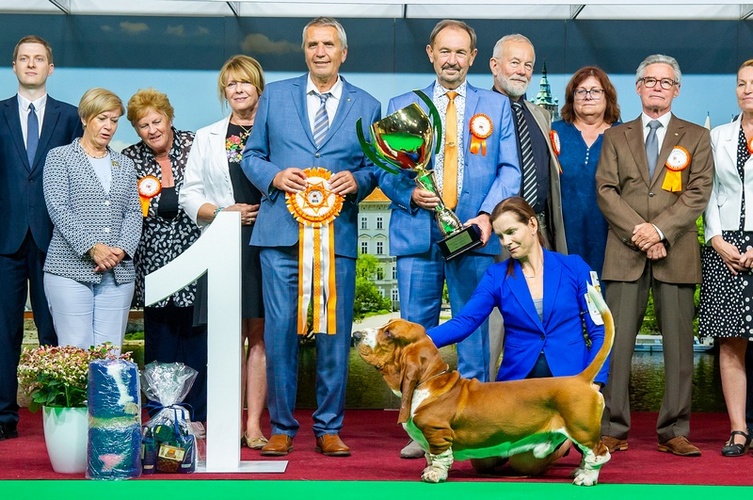 Otev�r�m obr�zek