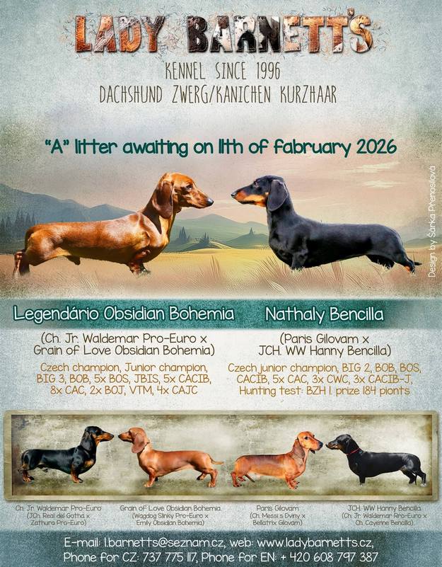 Lady Barnett's litter A