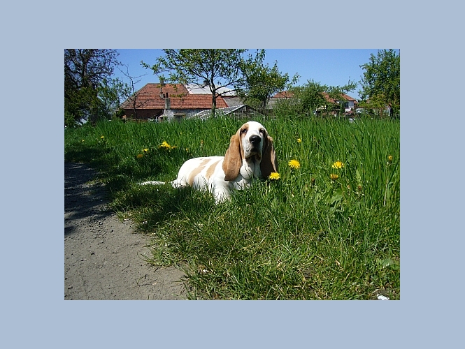 Otev�r�m obr�zek