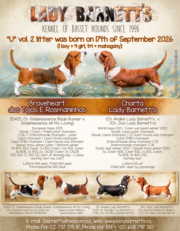 Lady Barnett's litter U